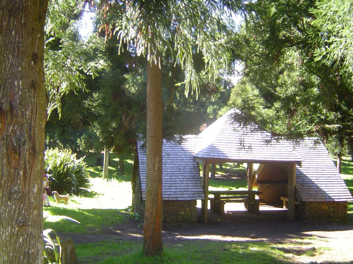 Relais Du Volcan La Plaine des Cafres Eksteriør billede